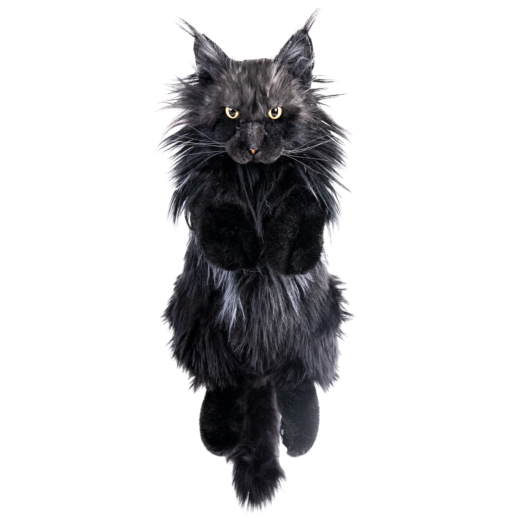 Maine Coon Cat Backpack