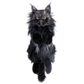 Load image into Gallery viewer, Maine Coon Cat Backpack – Realistic Cat Stylish Daypack
