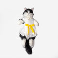 Load image into Gallery viewer, Yellow Bowtie clothes for cat - Chongker
