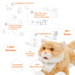 Matecat Pro- Interactive Lifelike Companion
