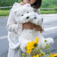Westie White Dog Backapck - Chongker