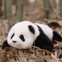 Rotpanda Gewichtete Kuscheltier – Kuscheltier zur Stresslinderung