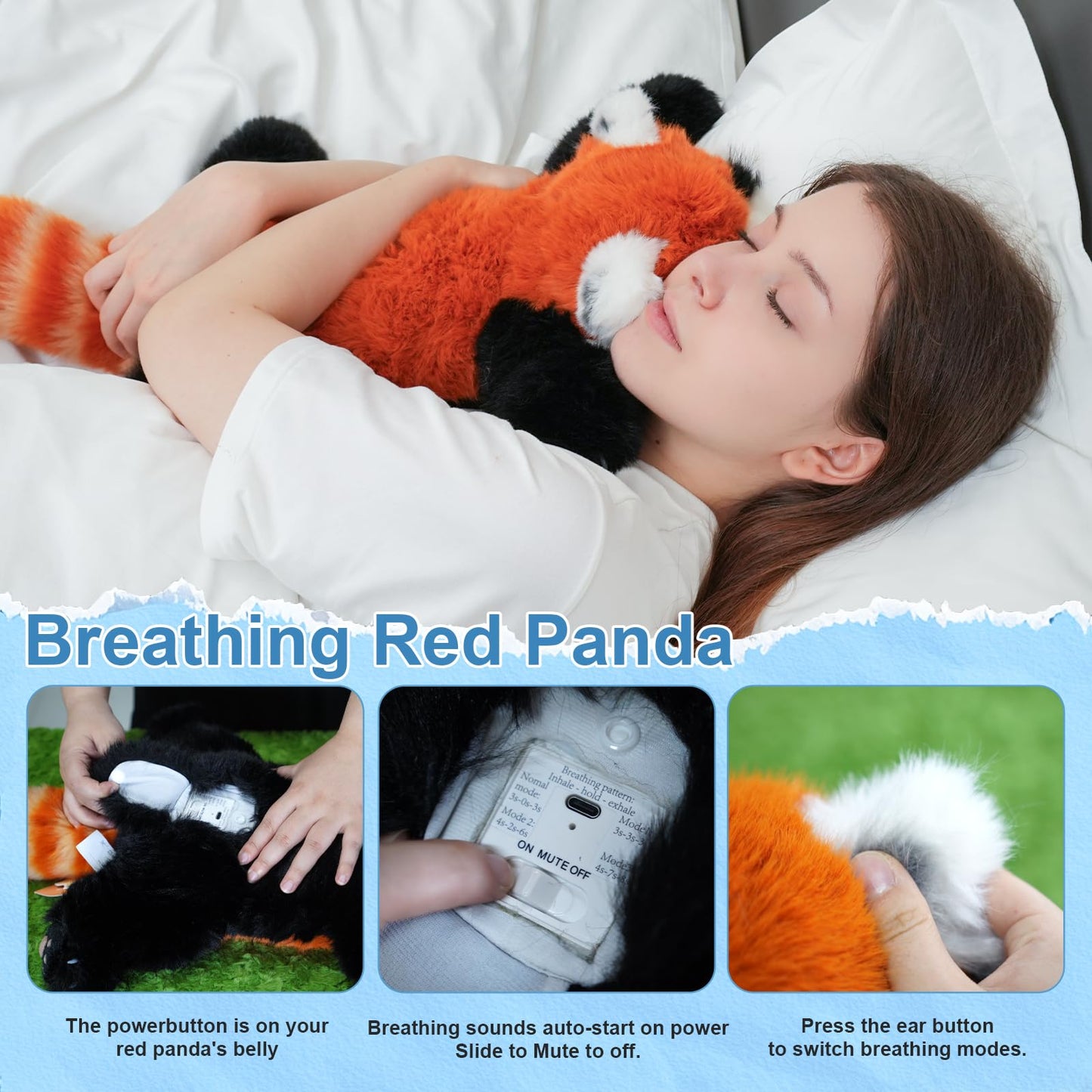 Breathing Red Panda