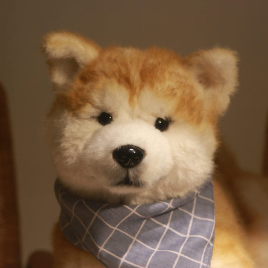 Cane Akita di Peluche – Regalo Coccole per Amanti dei Cani