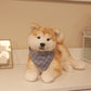 Akita Dog - Chongker