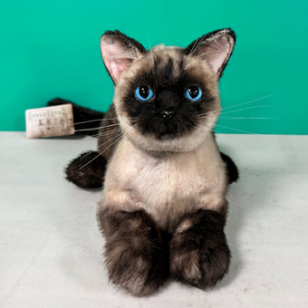 compare product Plüsch Siamkatze Kurzhaar Gewichtet-Handgefertigt Lebensgroßer Begleiter & Haustier-Gedenkfigur