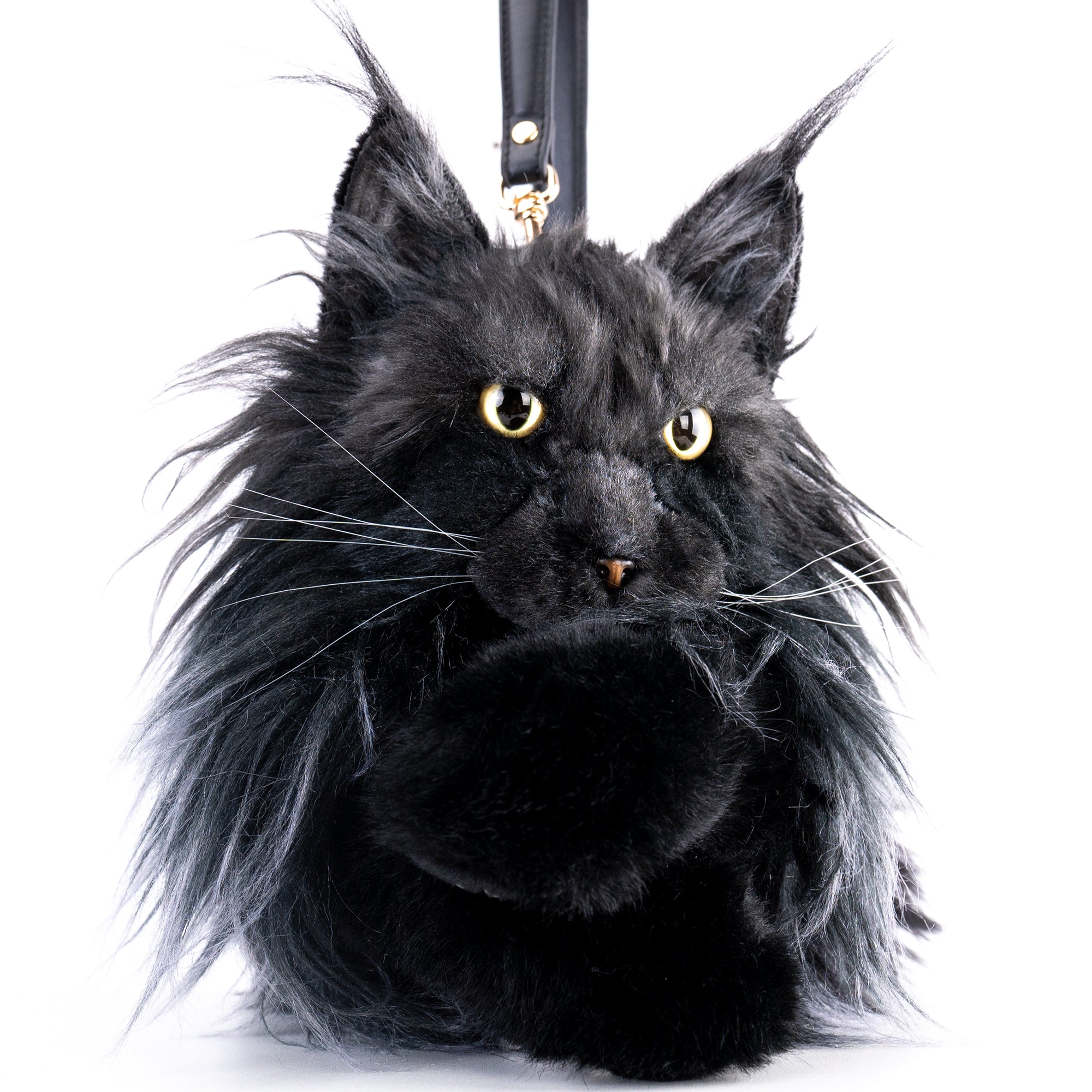 Maine Coon Cat Backpack