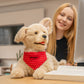 Percy 1.1 Robotic Dog Companion Designed for Comfort