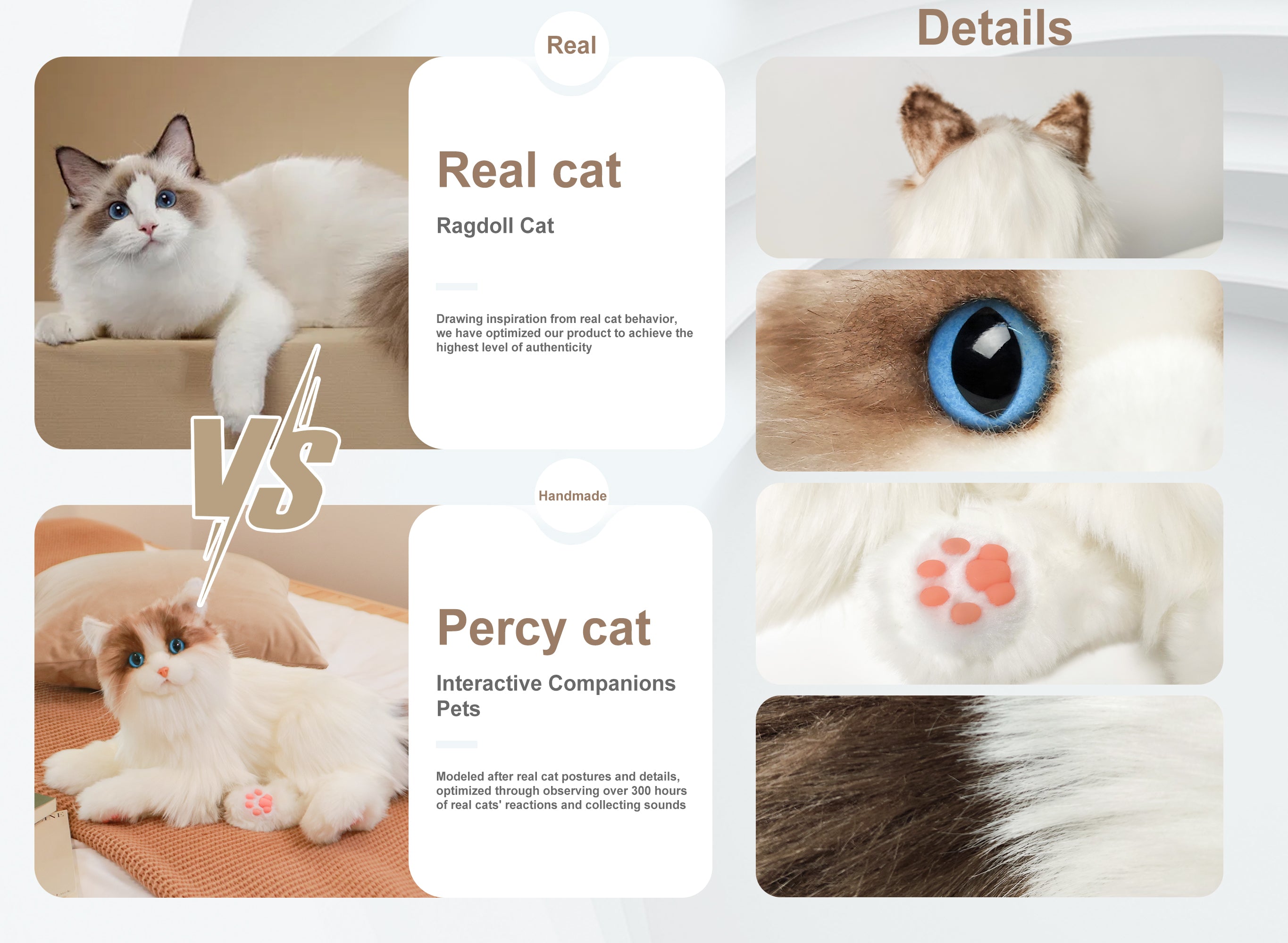 Ragdoll Percy Interactive Cat 1.1