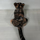 Tortoiseshell Cat Shorthair Order to Make