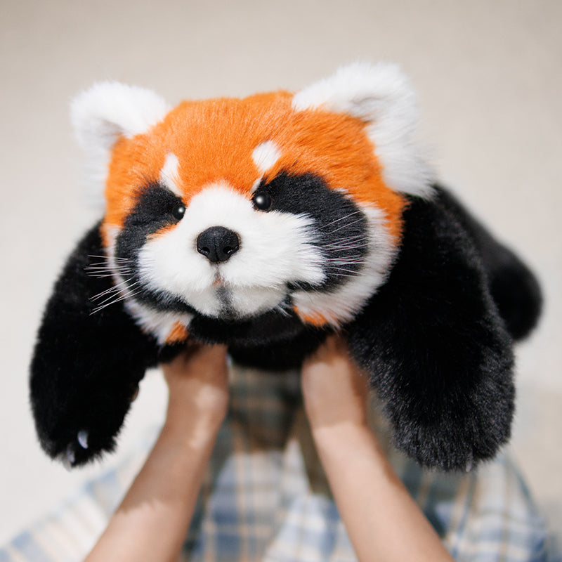 Red Panda Weighted 2.5lb/1.1kg