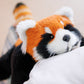 Red Panda Weighted Plush – Snuggle Toy for Stress Relief