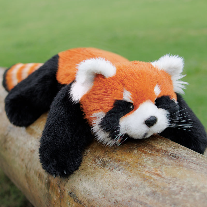 Red Panda Weighted 2.5lb/1.1kg