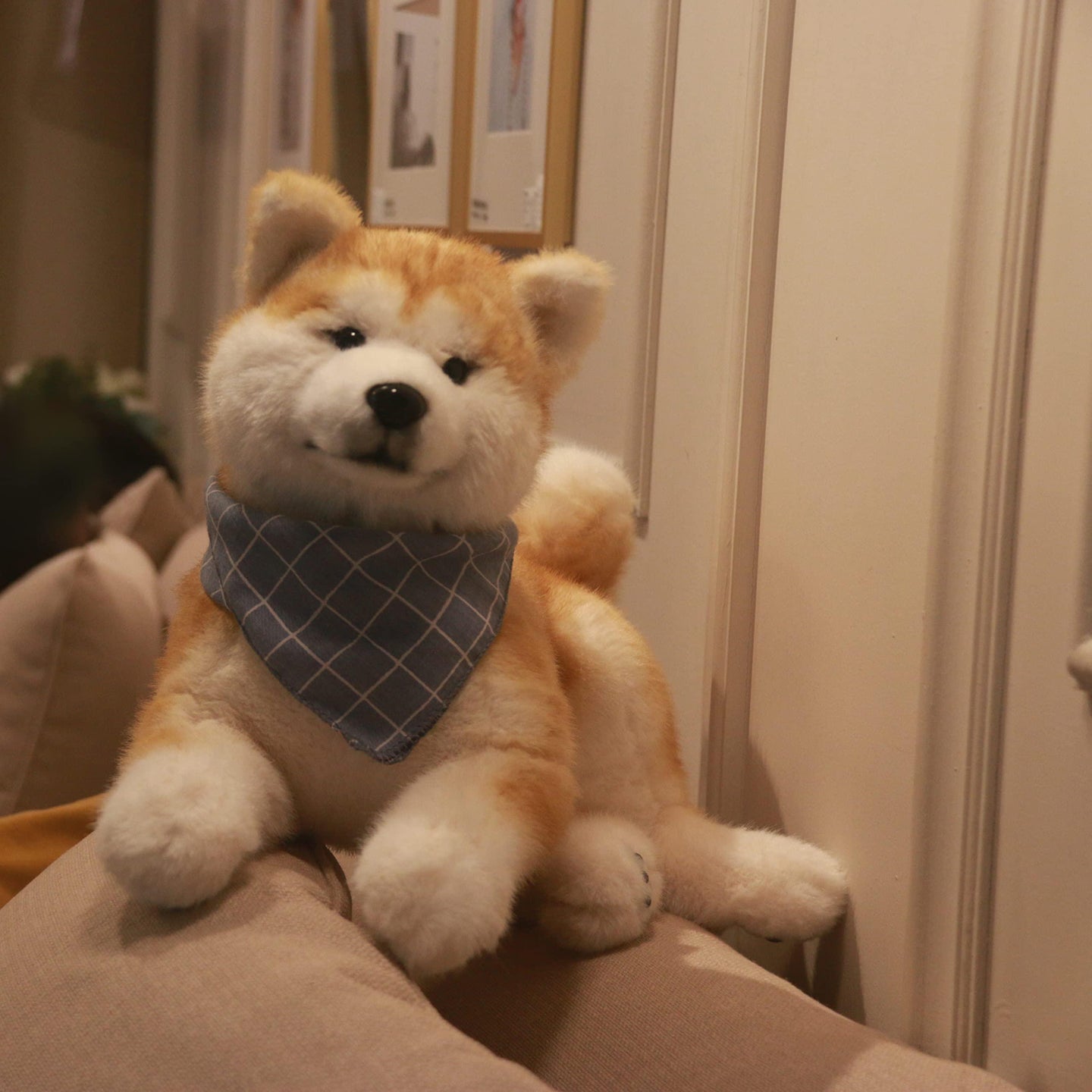Akita Dog - Chongker