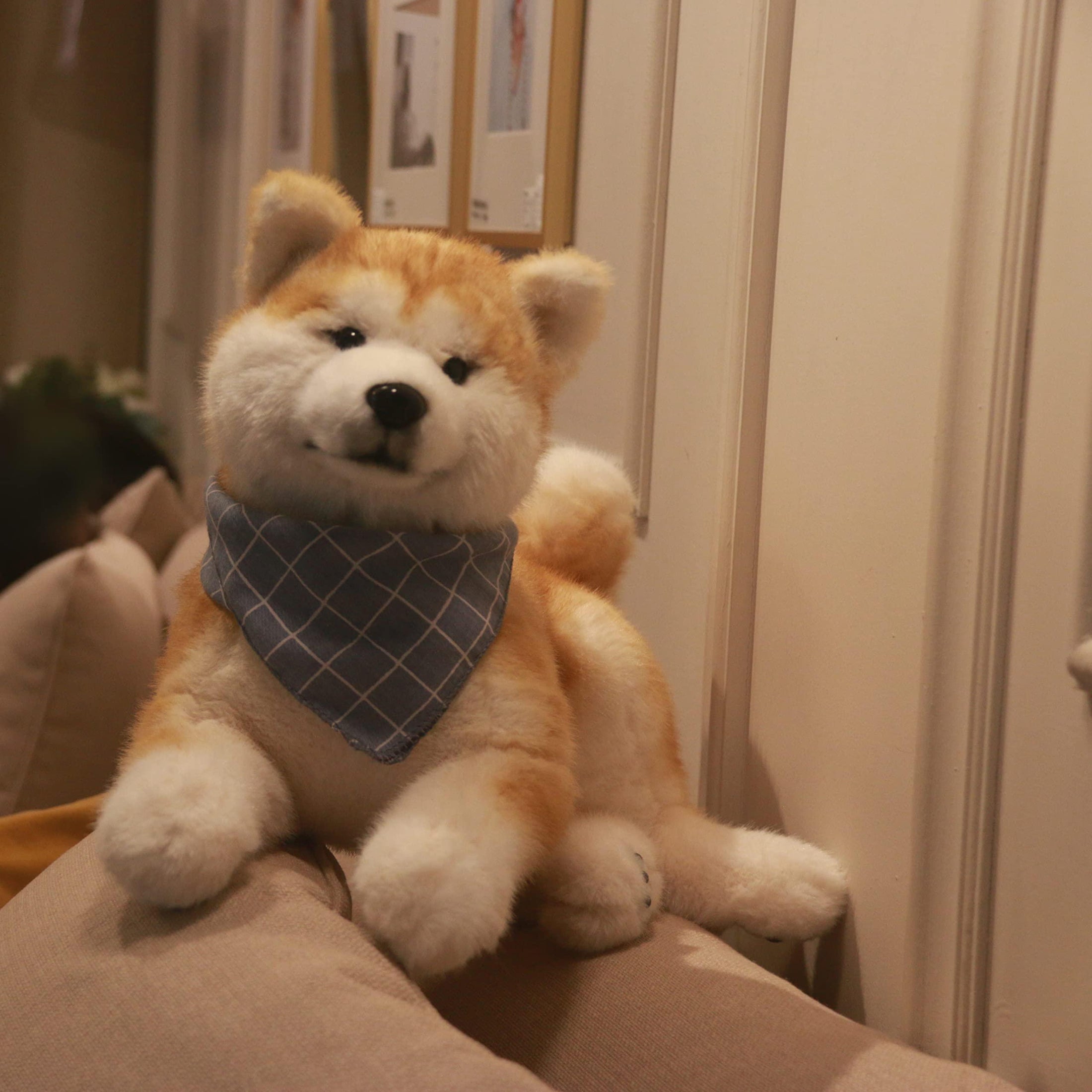 Akita Dog - Chongker