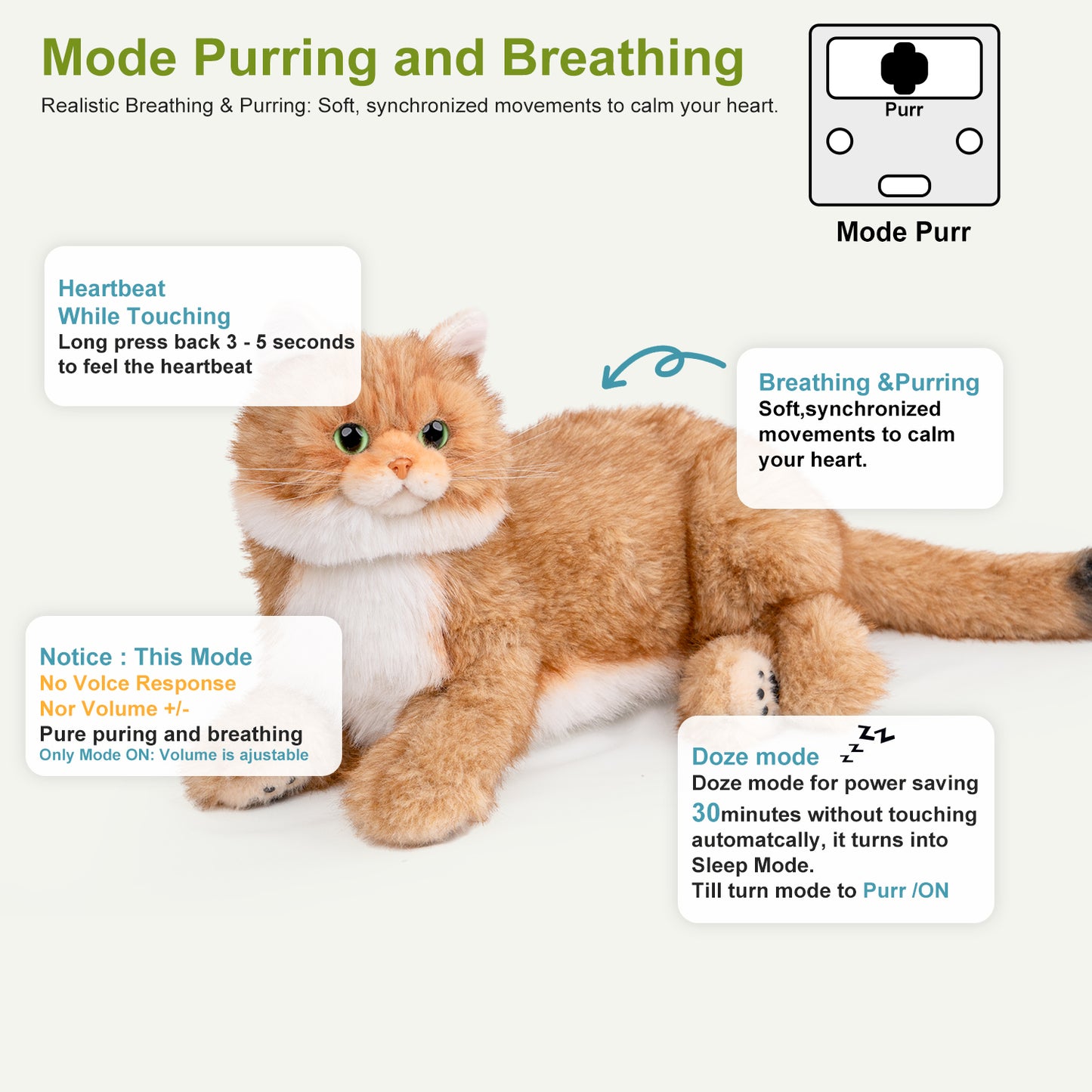 Percy 2.0 Goldener Britisch Kurzhaar-Kater – Herzschlag, Stimme Roboterkatze