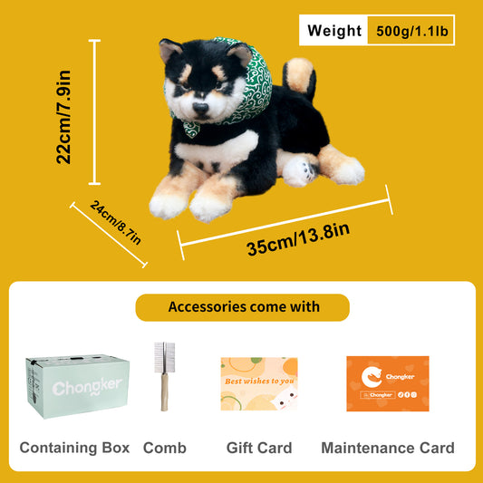 Schwarzer Shiba Inu Hund