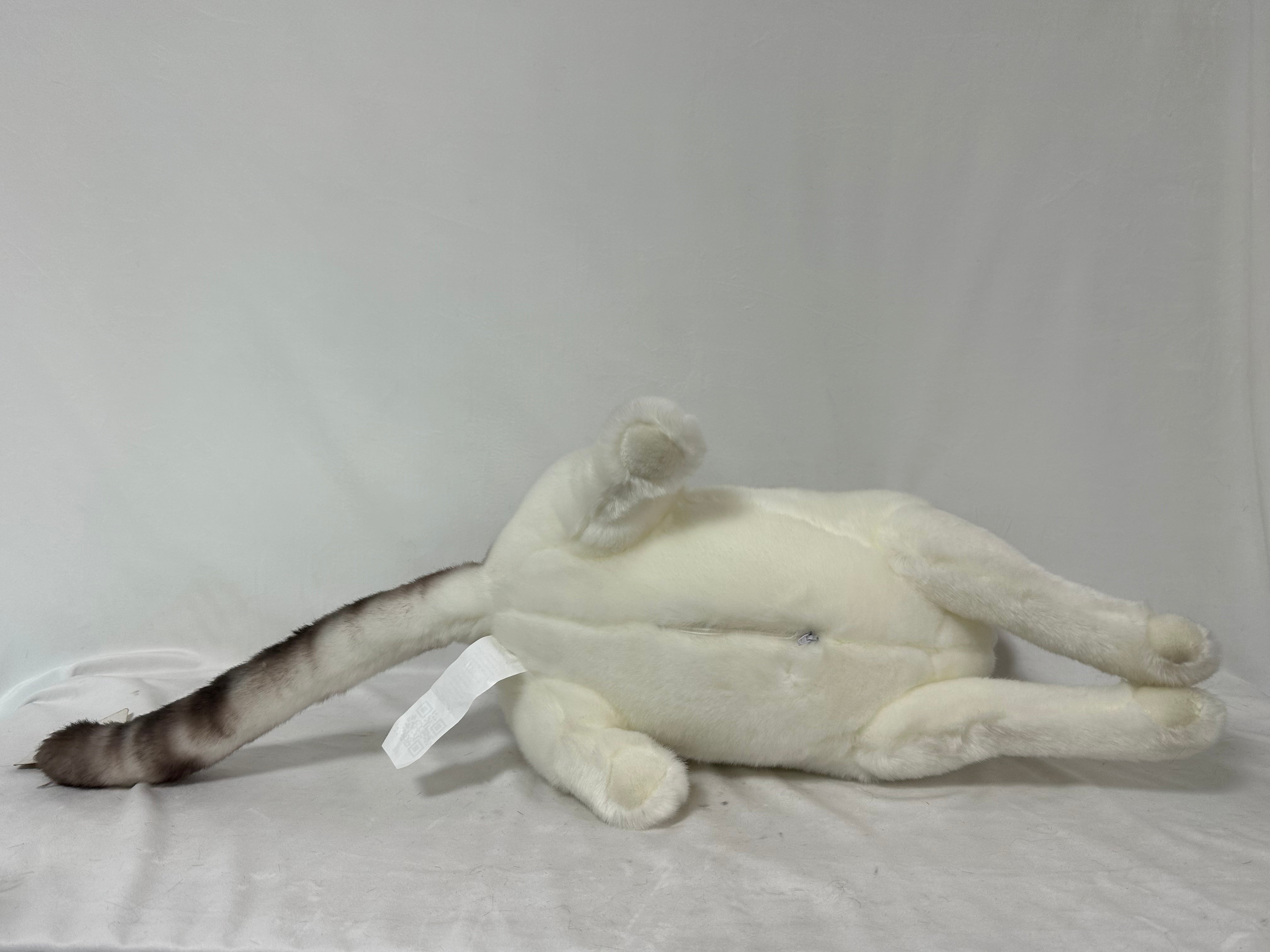 NO.62  white cat with black tail