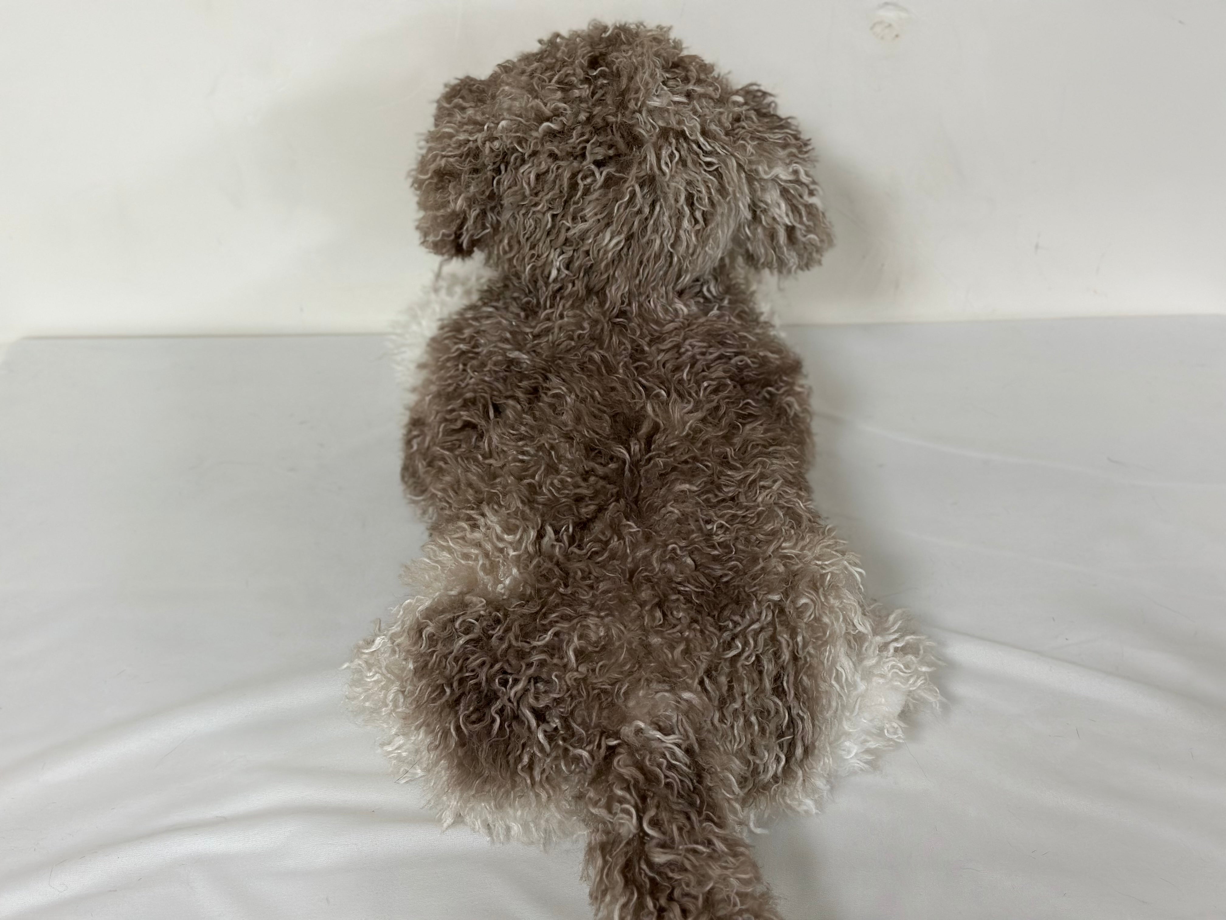 NO.48 goldendoodle  21.6 inches