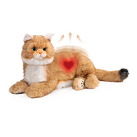 Robot Cat HeartBeats