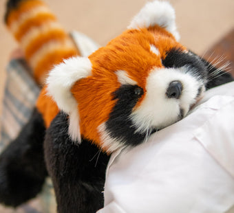 compare product Peluche Panda Rouge Respirant – Jouet apaisant réaliste et cadeau