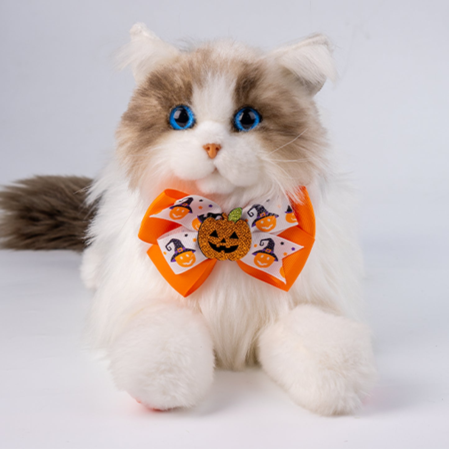 Pumpkin Collar