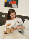Load image into Gallery viewer, Silver British Shorthair Cat Plush
