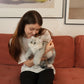 Silver British Shorthair Cat Plush