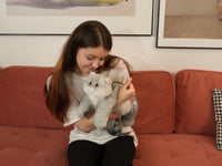  Peluche de gato británico plateado de pelo corto