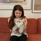 Silver British Shorthair Cat Plush