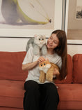 Cargar la imagen en la vista de la galería, Golden British Shorthair Cat Plush
