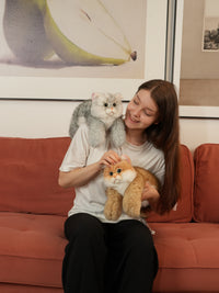 Peluche Chat British Shorthair Doré