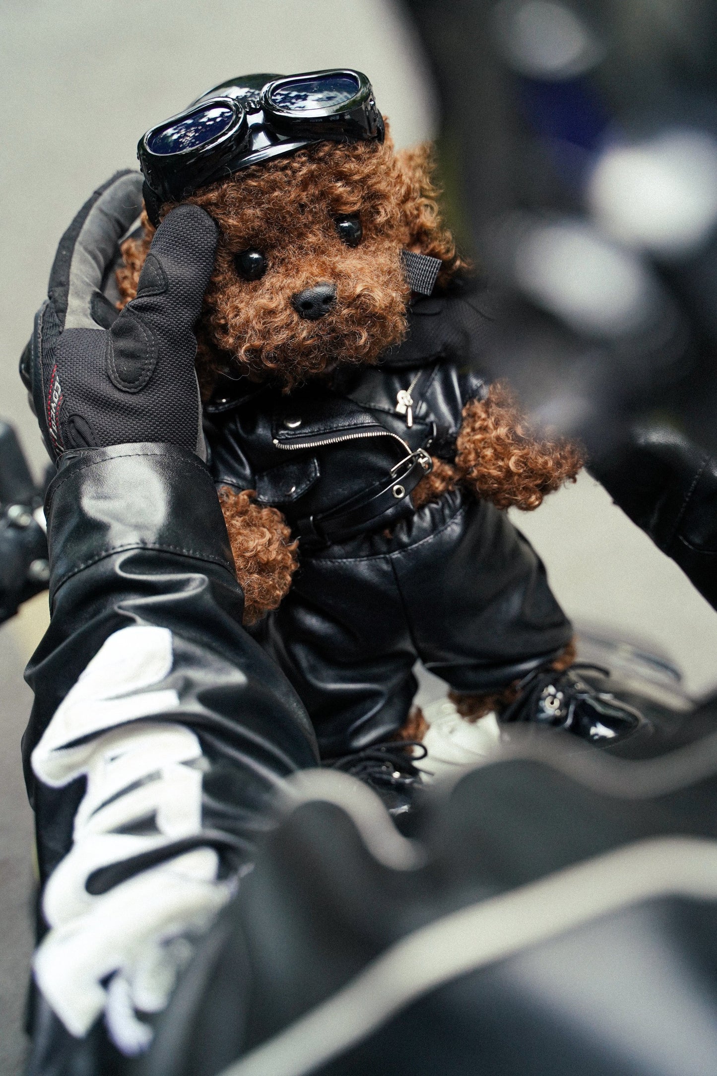 Poodle doll (Motor clothes)