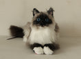 Załaduj obraz do przeglądarki galerii, Siamese Cat Longhair MADE-TO-ORDER
