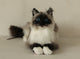 Plush Siamese Cat Longhair Weighted -Handmade Life-Size Companion & Pet Memorial