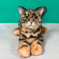 Leopard Cat Order to Make