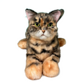 Load image into Gallery viewer, Leopard Cat Order to Make
