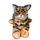 Plush leopard-print cat-Handmade Life-Size Companion & Pet Memorial