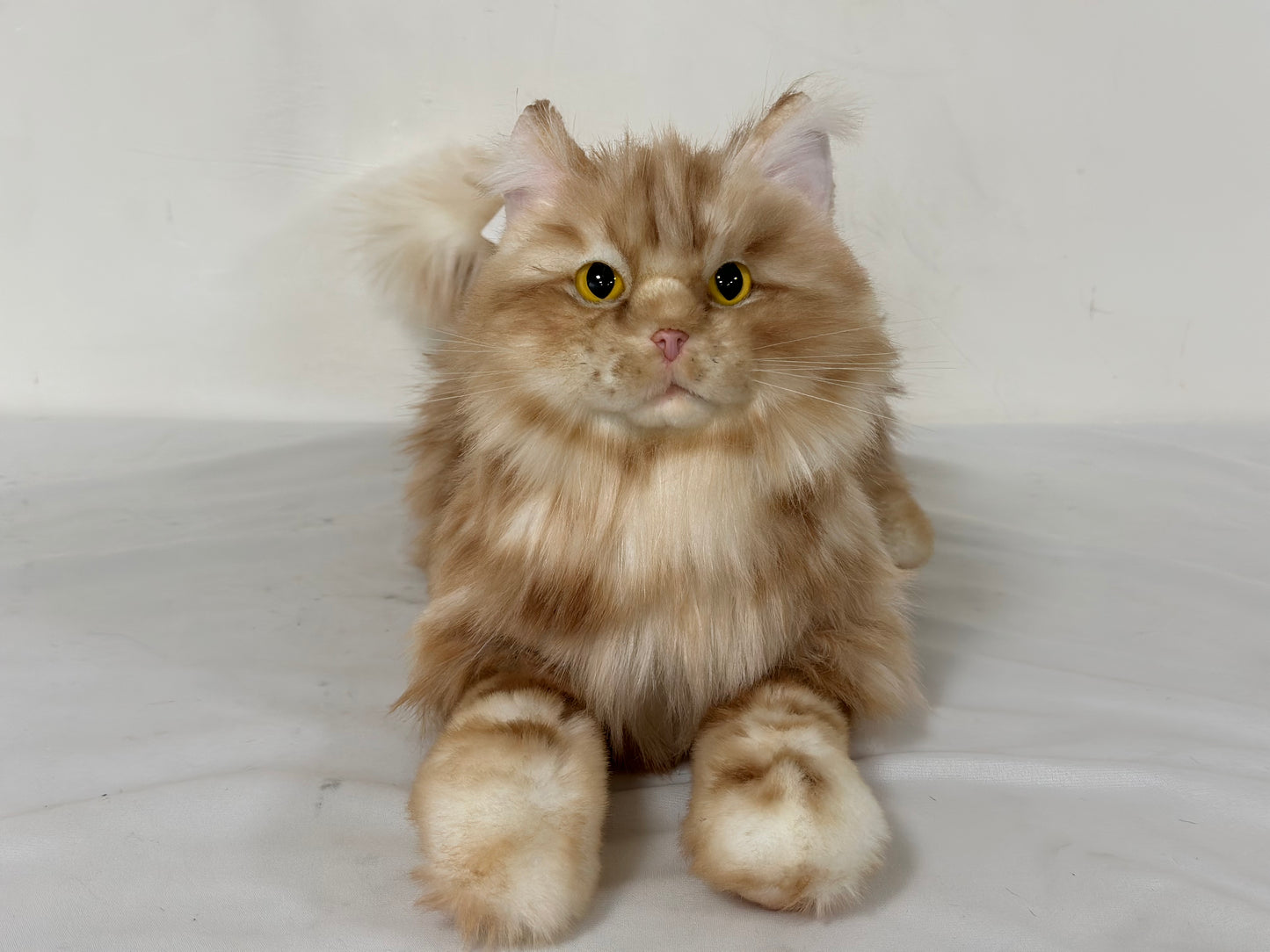 Ginger Cat Longhair Order to Make