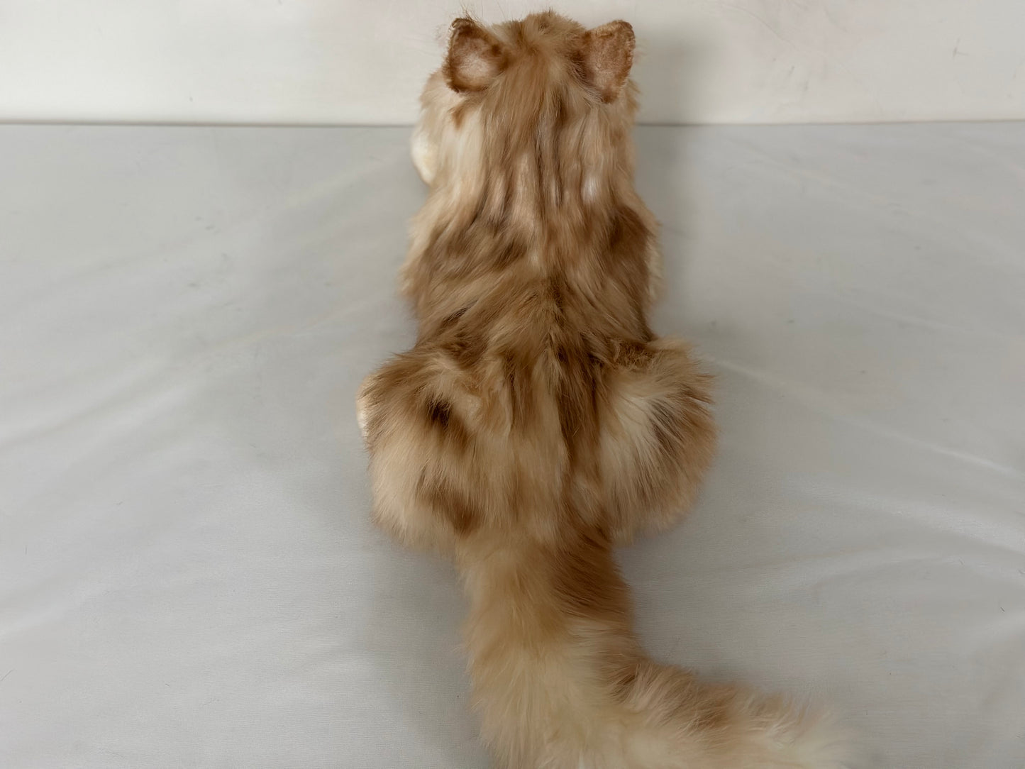 Ginger Cat Longhair Order to Make