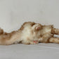Ginger Cat Longhair Plush MADE-TO-ORDER
