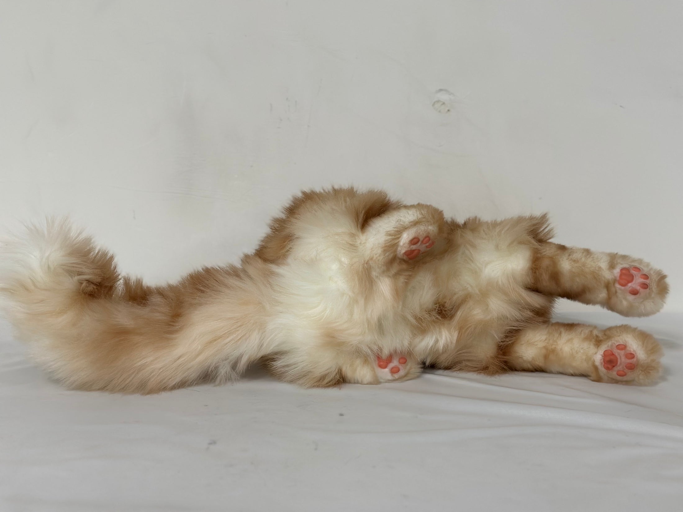 Ginger Cat Longhair Plush MADE-TO-ORDER