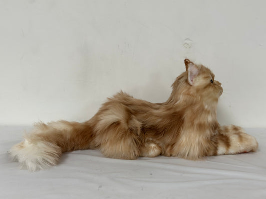 Ginger Cat Longhair Order to Make