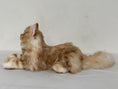 Załaduj obraz do przeglądarki galerii, Ginger Cat Longhair Plush MADE-TO-ORDER
