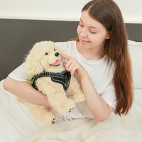 2.2lbs Golden Retriever Plush – Weighted Emotional Support Toy Gift