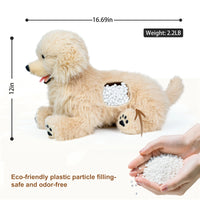 2.2lbs Golden Retriever Plush – Weighted Emotional Support Toy Gift