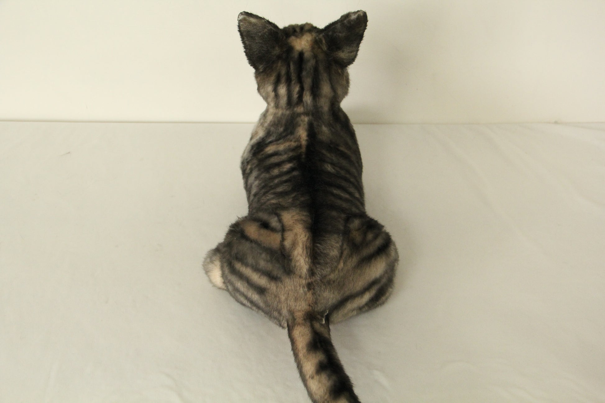NO.42 black striped cat - Chongker