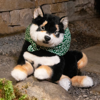 compare product Schwarzer Shiba Inu Hund
