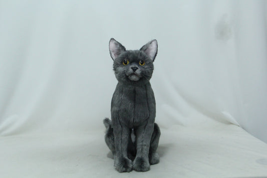 NO.63  gray sitting cat