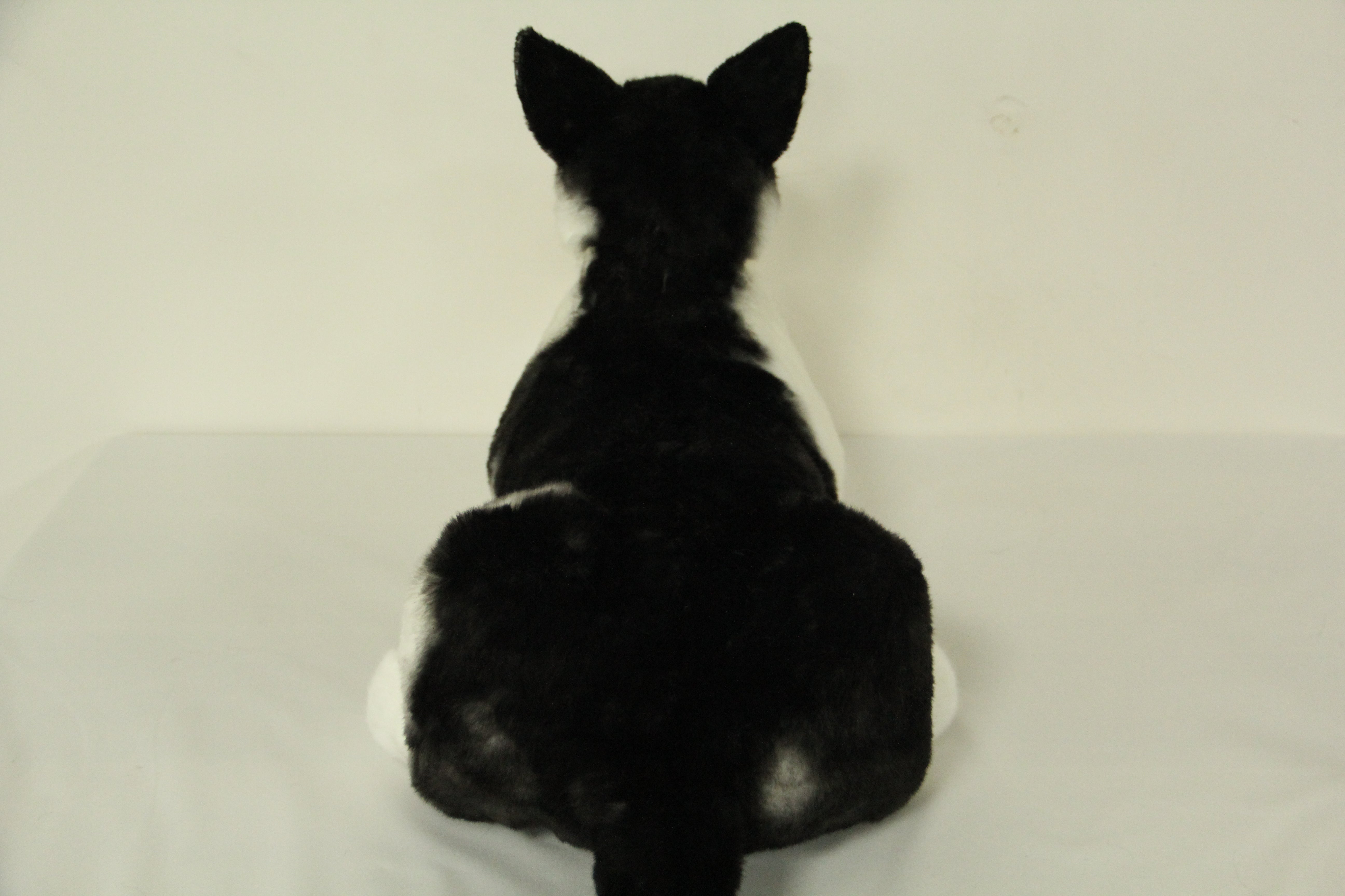 NO.46 black and white short hair cat  21.6inches